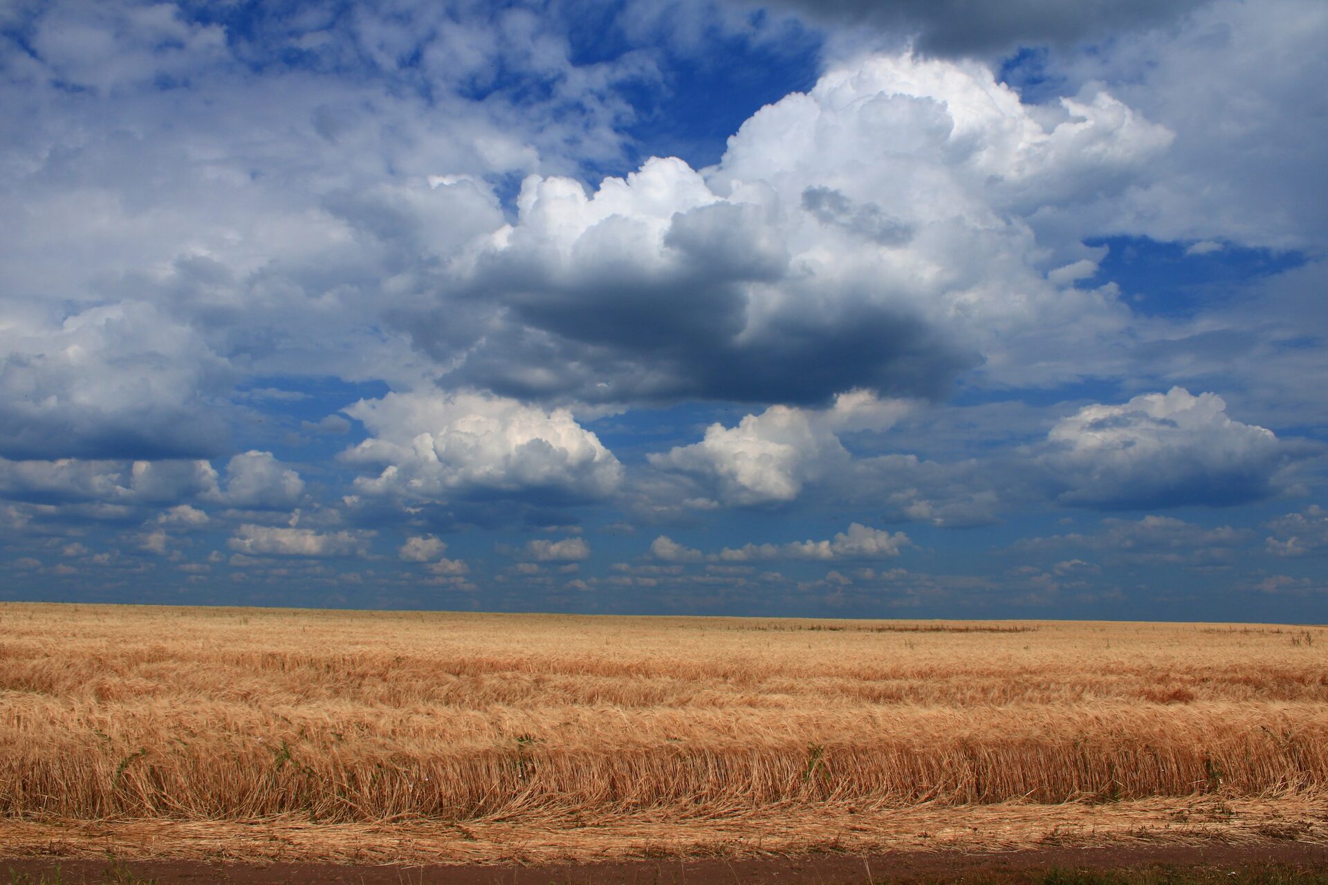 Top Five Reasons to Invest in the Winnipeg Real Estate Market