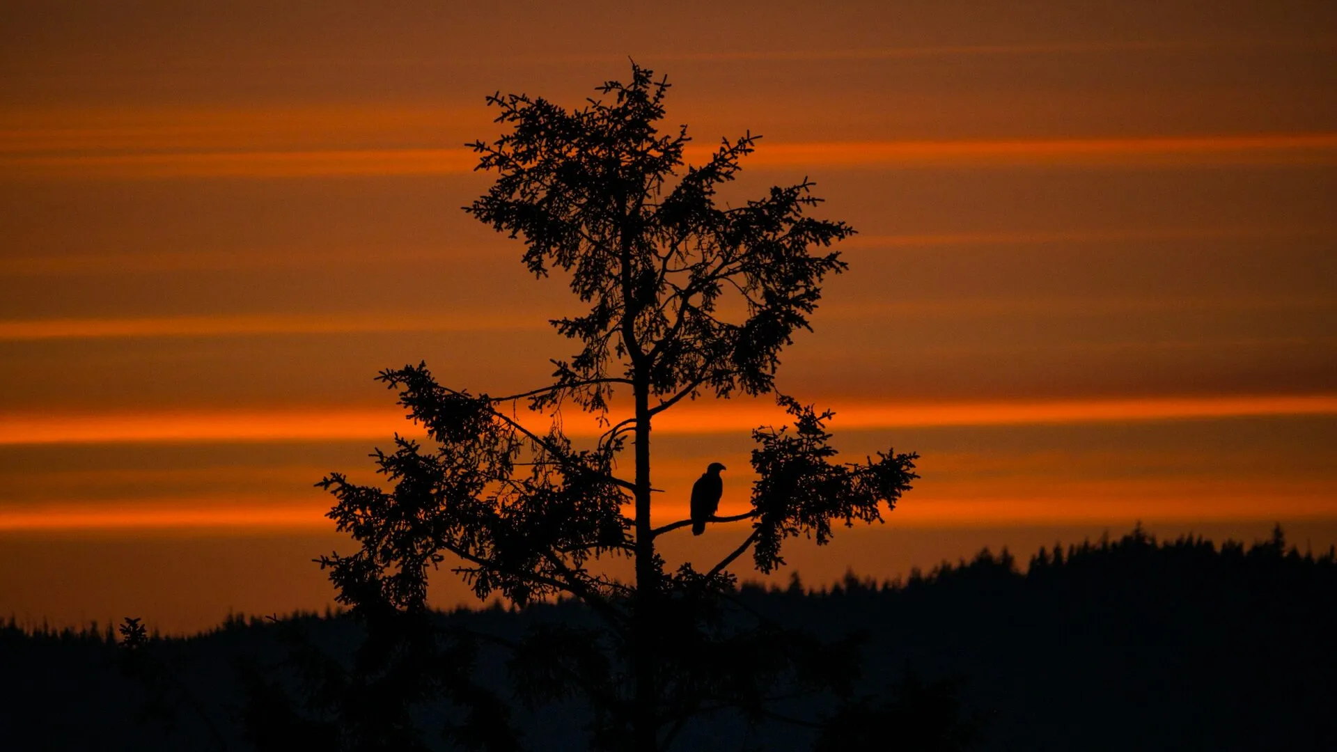 Top Five Reasons to Invest in the Vancouver Island Real Estate Market